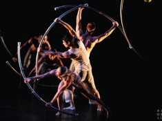 Pilobolus Pilobolus