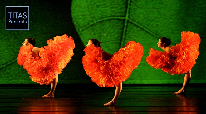 MOMIX_HEADER.jpg MOMIX_HEADER.jpg