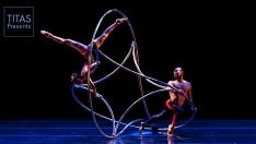 MOMIX - Opus Cactus MOMIX - Opus Cactus