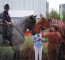 Joey of War Horse meets the Dallas Police Department