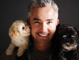 Cesar Millan Live!