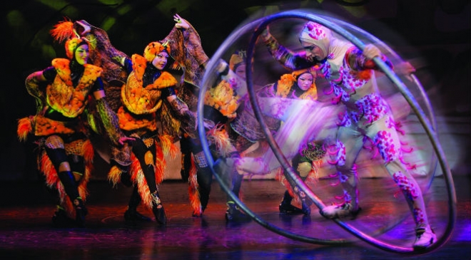 Cirque Dreams Jungle Fantasy Cirque Dreams Jungle Fantasy