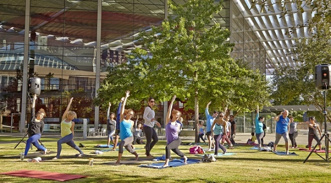 141004-LocalMotionYoga-Sammons-NateRehlander-011.jpg 141004-LocalMotionYoga-Sammons-NateRehlander-011.jpg