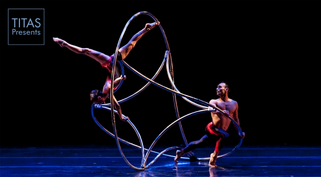 MOMIX - Opus Cactus MOMIX - Opus Cactus