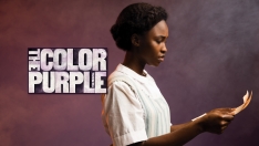 THECOLORPURPLE_1000X553.jpg THECOLORPURPLE_1000X553.jpg